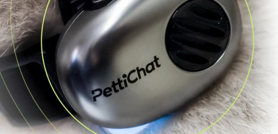 PettiChat